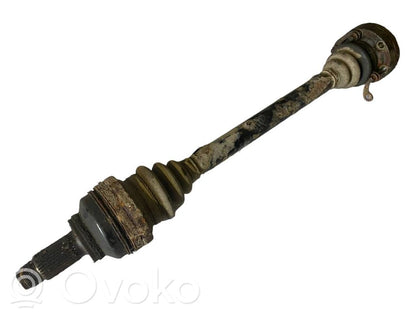 Aizmugurējā pusass