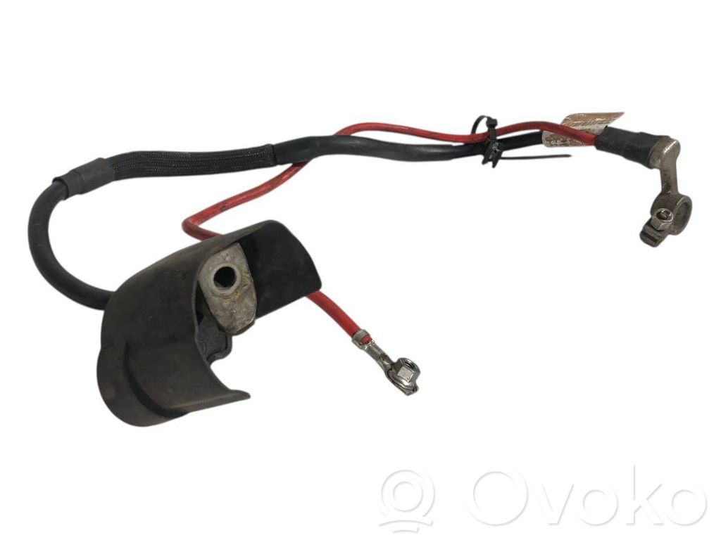 Plusa vads (akumulatora)