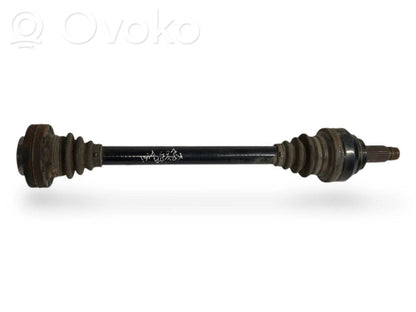 Aizmugurējā pusass