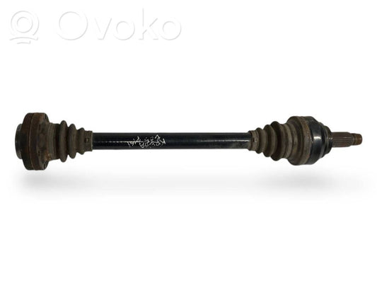 Aizmugurējā pusass