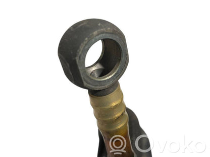 Caurule (-es) / šļūtene (-es)