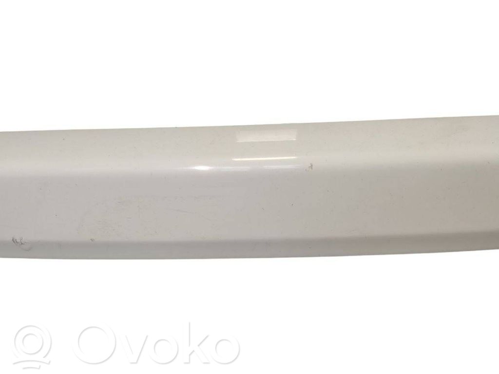 Bagāžnieka dekoratīvā apdare