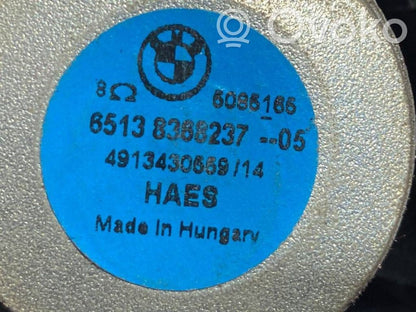Skaļrunis (-i) priekšējās durvīs