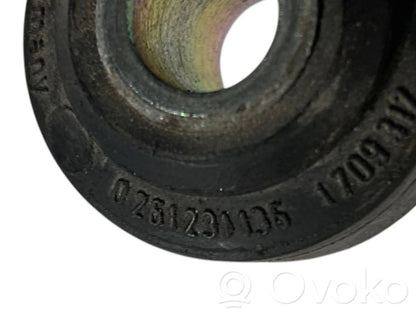 Knock sensor