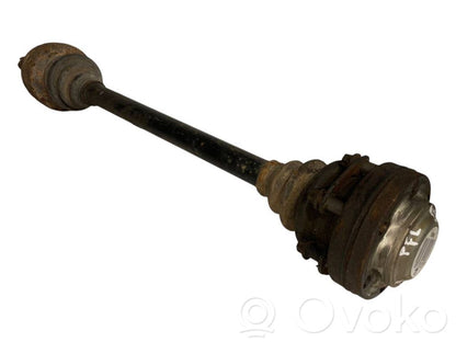 Aizmugurējā pusass