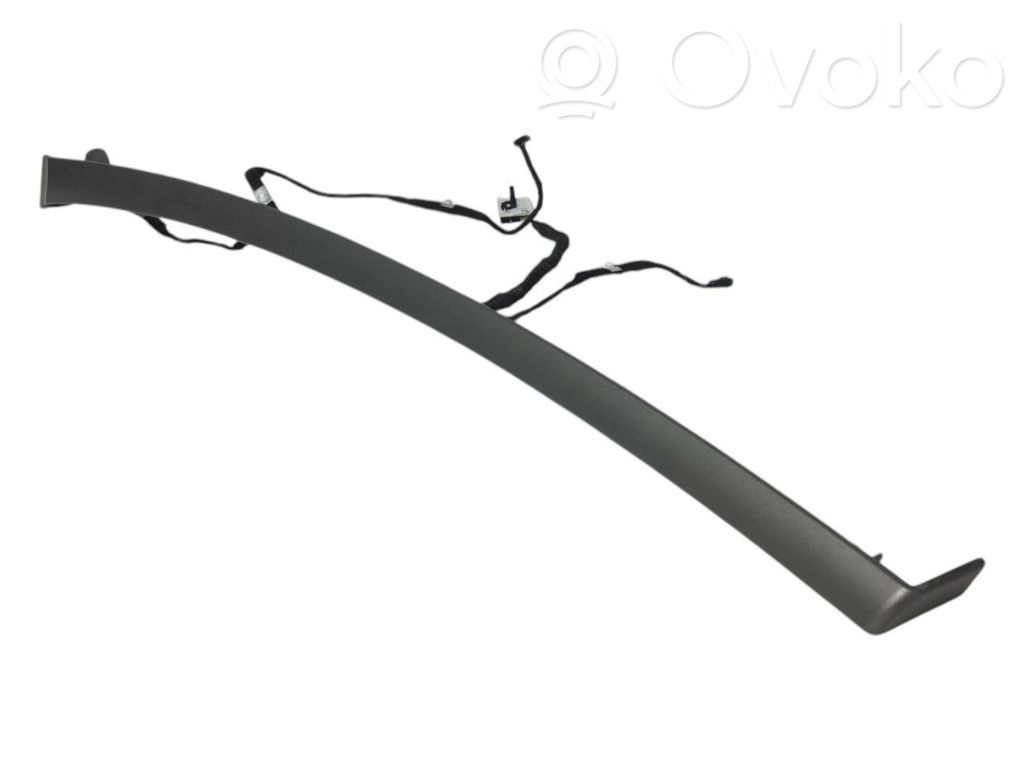 Cita veida priekšpusē durvju dekoratīvās apdares detaļa