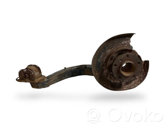 Rear wheel hub shaft joint (stupica, capfa)