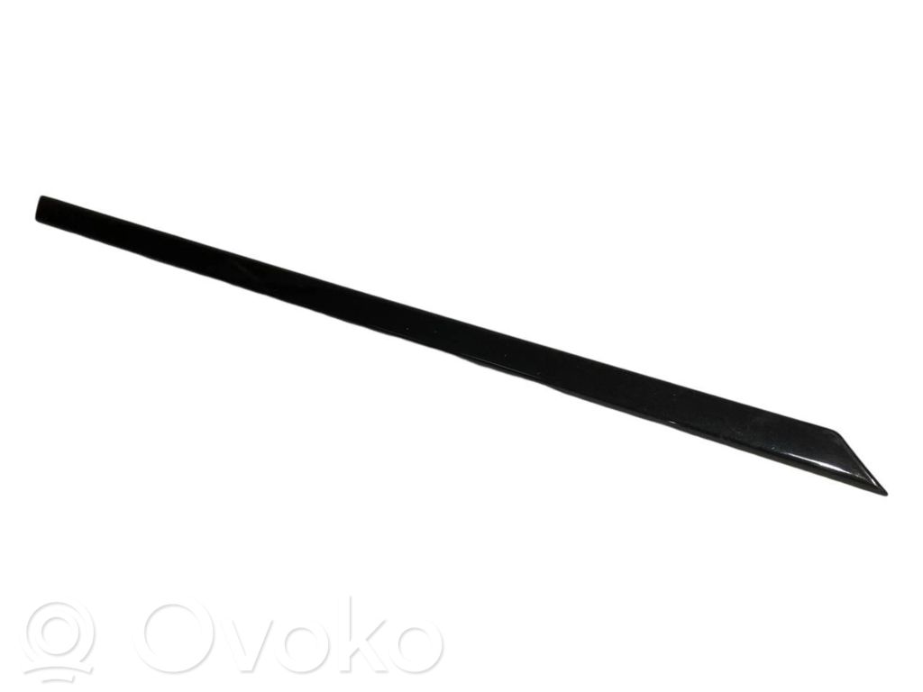 Aizmugurē durvju dekoratīvā apdare (moldings)
