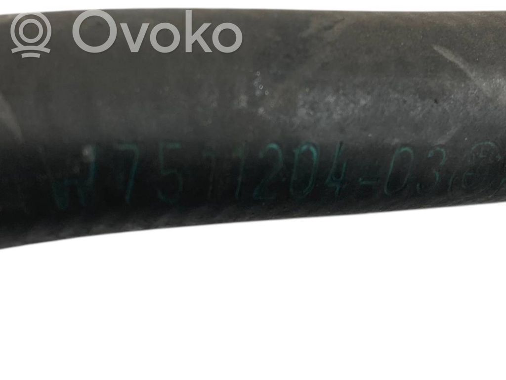 Caurulīte (-es) / šļūtene (-es)