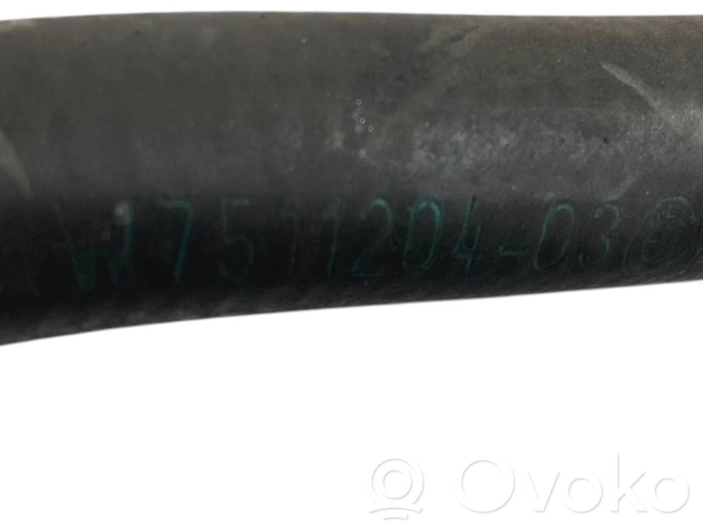 Caurulīte (-es) / šļūtene (-es)