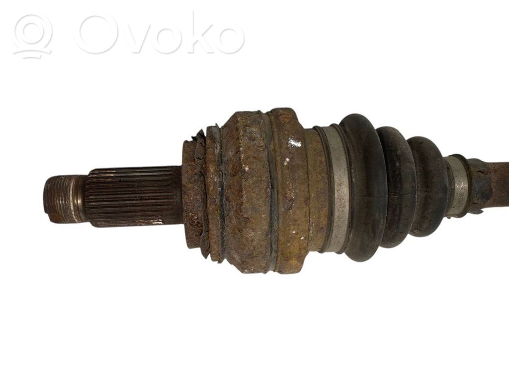 Aizmugurējā pusass