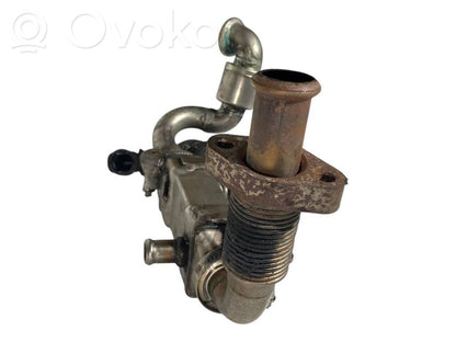EGR dzesētājs