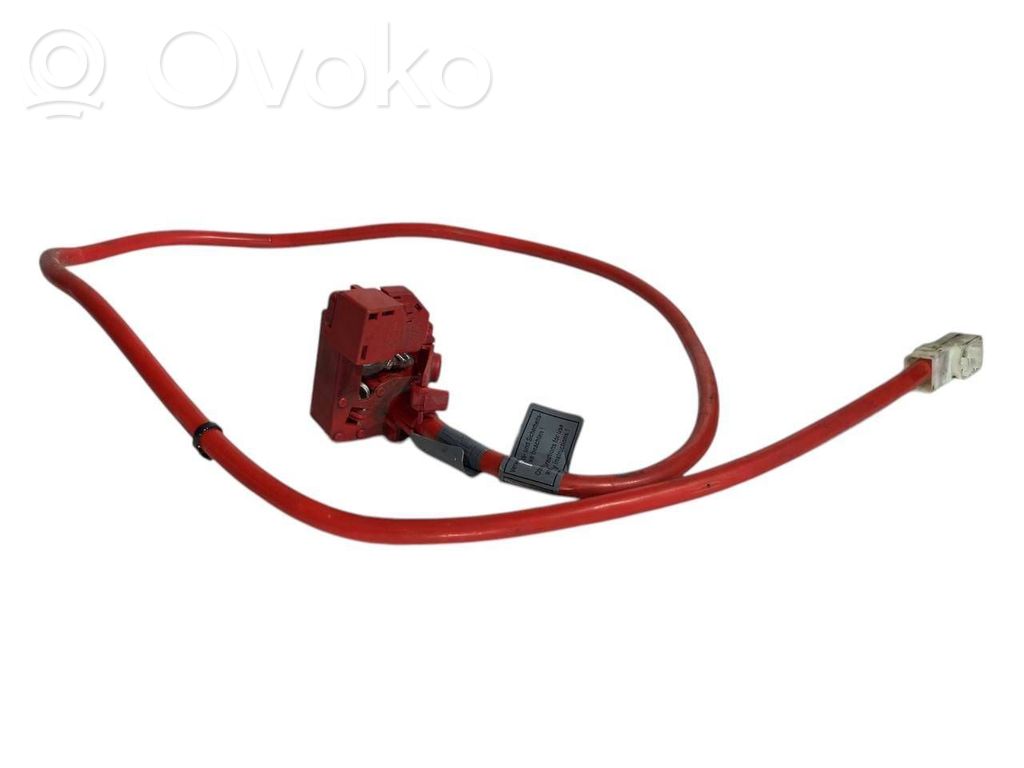 Plusa vads (akumulatora)