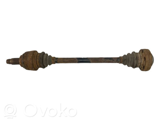 Aizmugurējā pusass