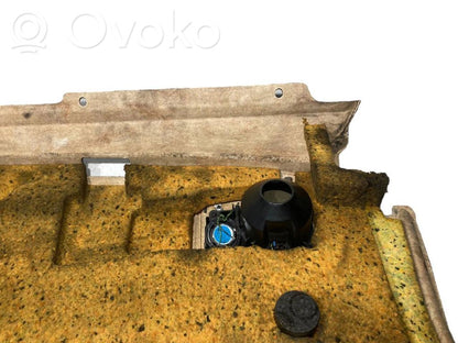 Aizmugurējā palodze