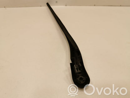 Aizmugurējā loga tīrītājs