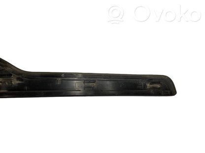 Rear door sill trim (inner)
