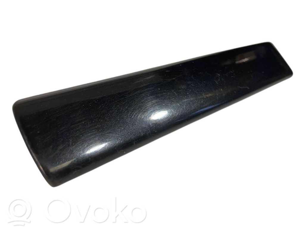 Fender decorative trim (molding)