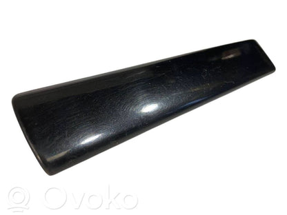 Fender decorative trim (molding)