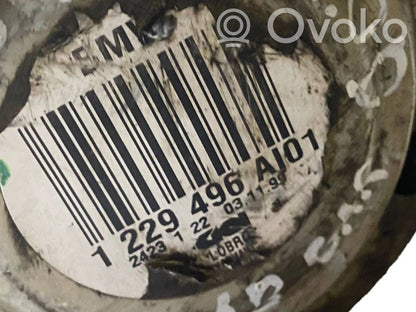 Aizmugurējā pusass