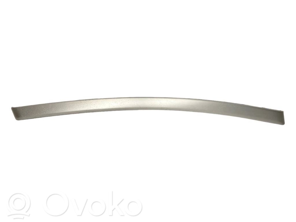 Priekšpusē dekoratīvās apdares lenta