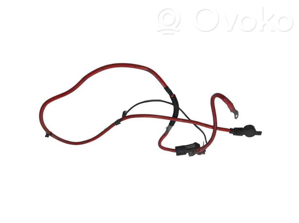 Plusa vads (akumulatora)