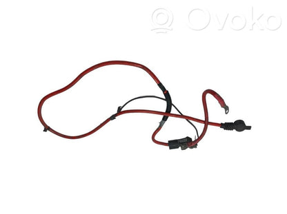 Plusa vads (akumulatora)