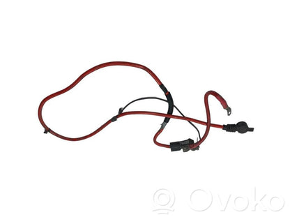 Plusa vads (akumulatora)