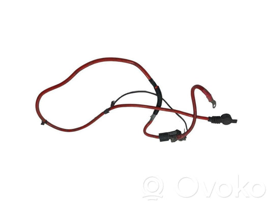 Plusa vads (akumulatora)