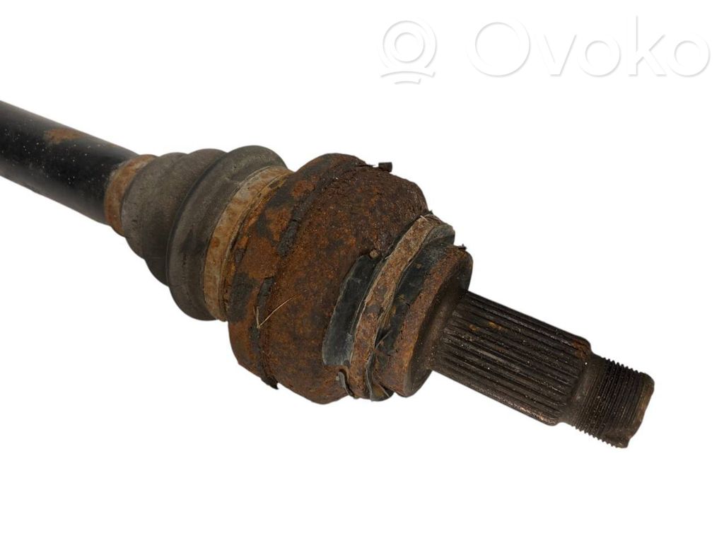 Aizmugurējā pusass