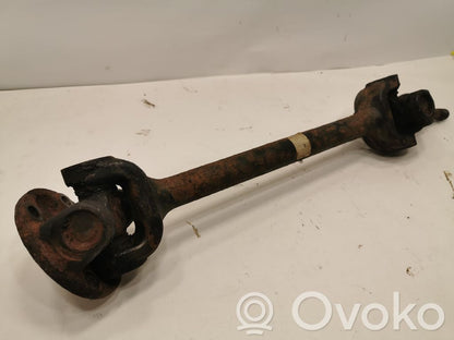 Aizmugurējā pusass