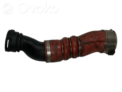Interkūlera šļūtene (-es) / caurule (-es)