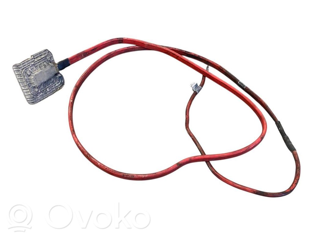 Plusa vads (akumulatora)