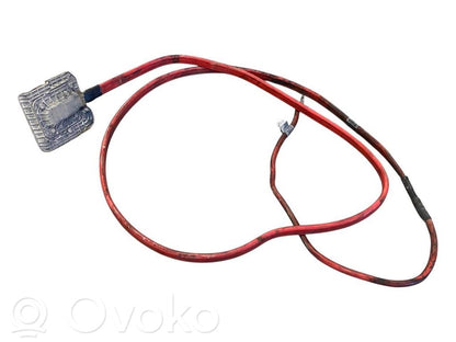 Plusa vads (akumulatora)