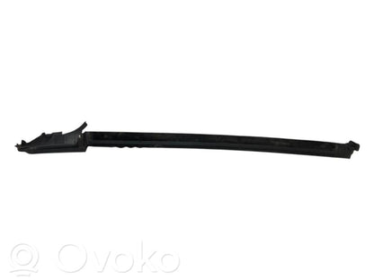 Rear door glass trim