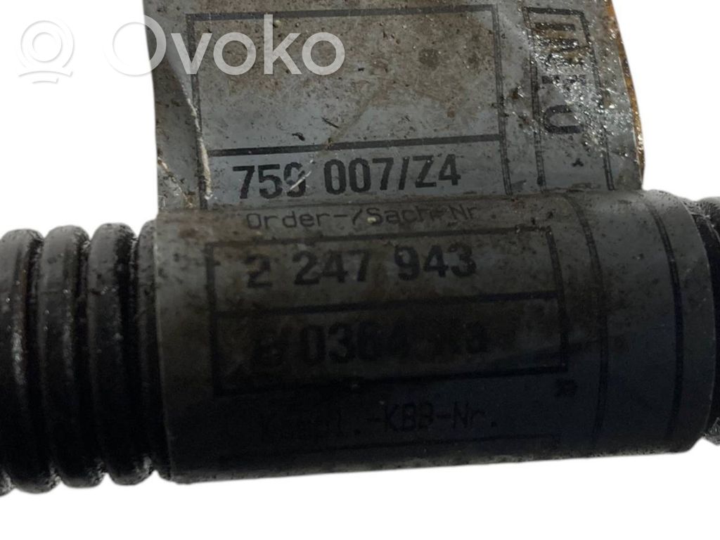 Plusa vads (akumulatora)