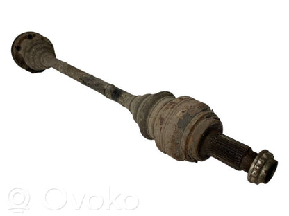 Aizmugurējā pusass