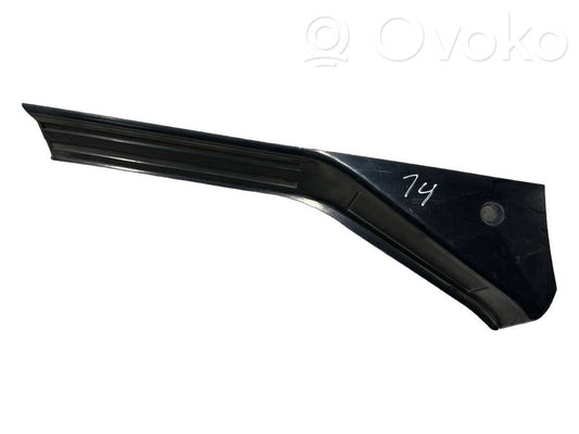 Rear door sill trim (inner)