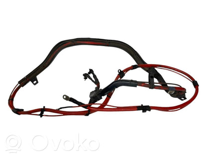 Plusa vads (akumulatora)