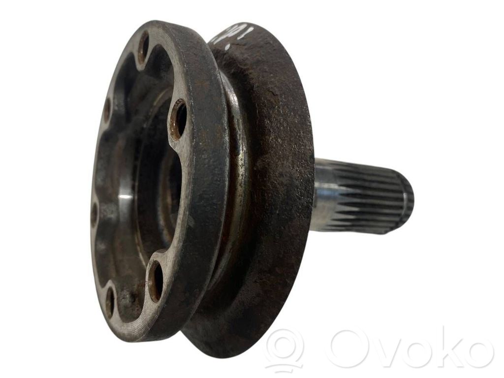 Aizmugurējā pusass