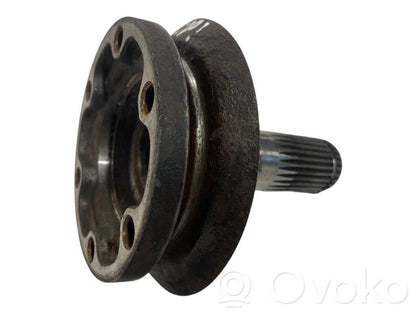 Aizmugurējā pusass