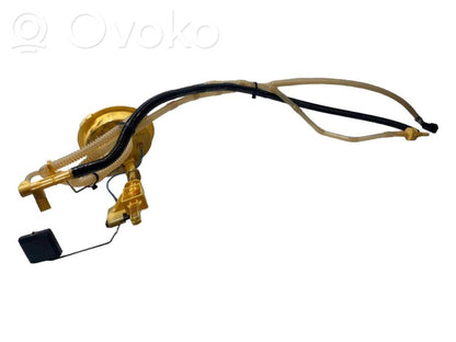 Fuel pump (in the fuel tank)