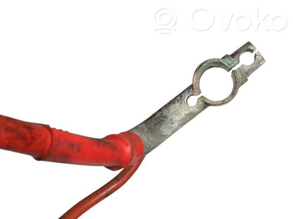 Plusa vads (akumulatora)
