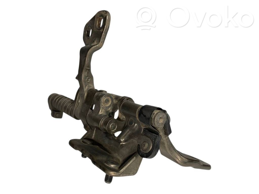 Задняя крышка петли(ей)