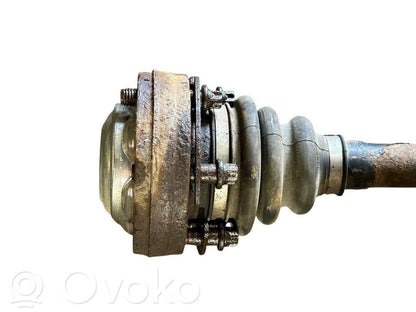 Aizmugurējā pusass