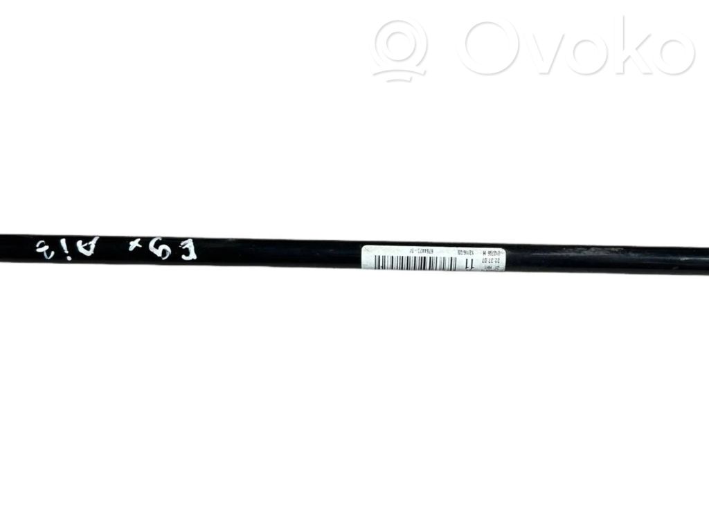 Stabilizatora stienis