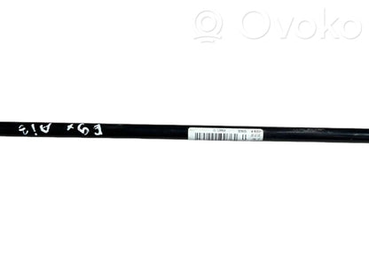 Stabilizatora stienis