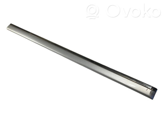 Rear door decorative trim (moulding)