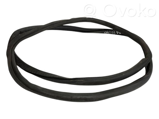 Front trim rubber (in the body)