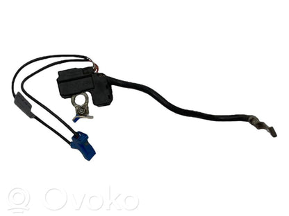 Mīnusa vads (akumulatora)